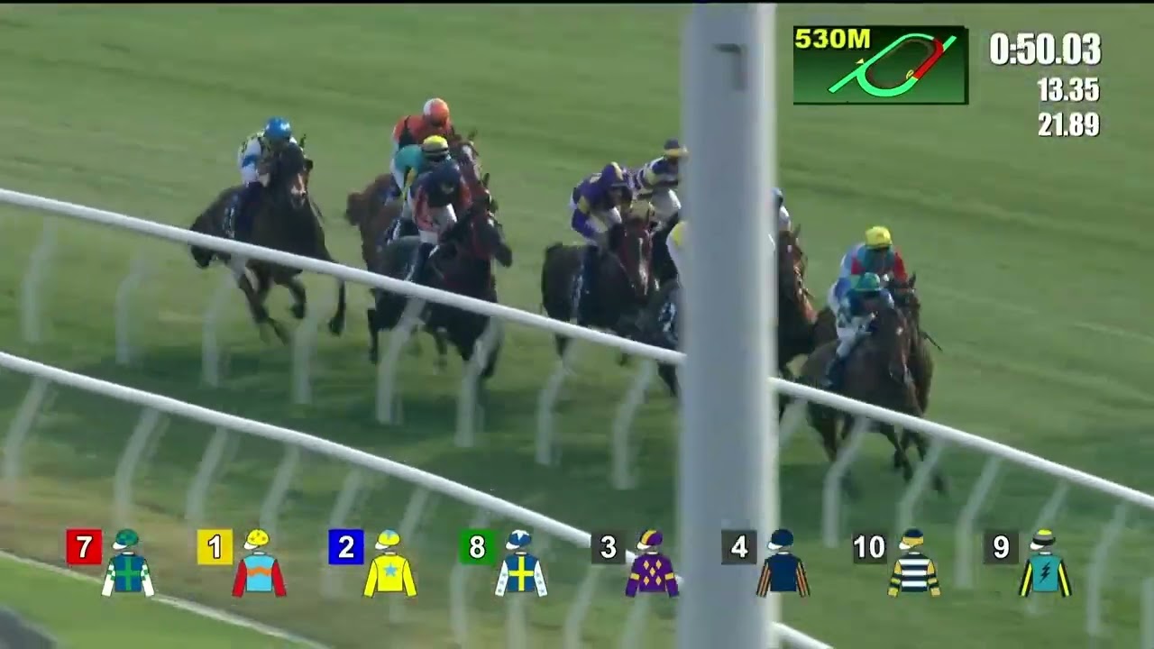KA YING RISING - Queen's Silver Jubilee Cup 2026 (3 года+ WFA G1) Группа 1 Ша Тин 22 февраля Гонконг