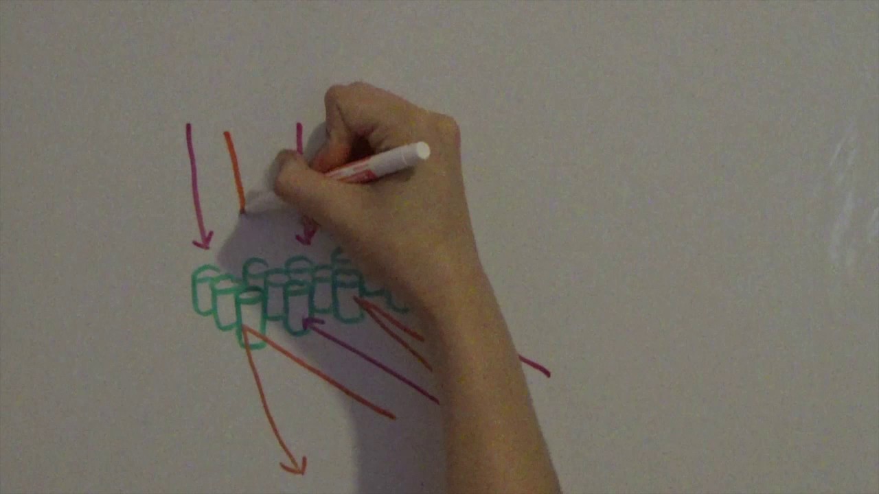 Photonic Crystals