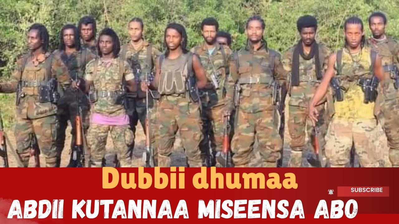 miseensa shanee abdii kutee!