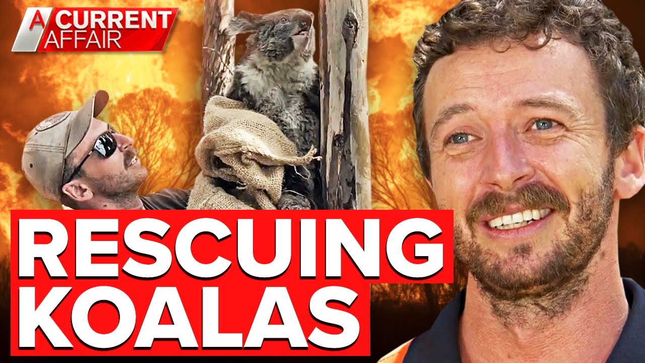 Aussie who dropped everything to rescue 100 koalas | A Current Affair