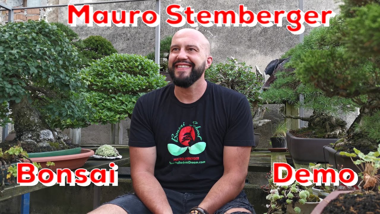 BonsaiKunstHamburg: Demo Mauro Stemberger