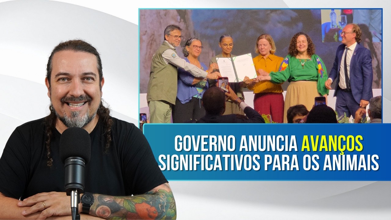 Na Semana Nacional dos Animais, avanços significativos foram anunciados