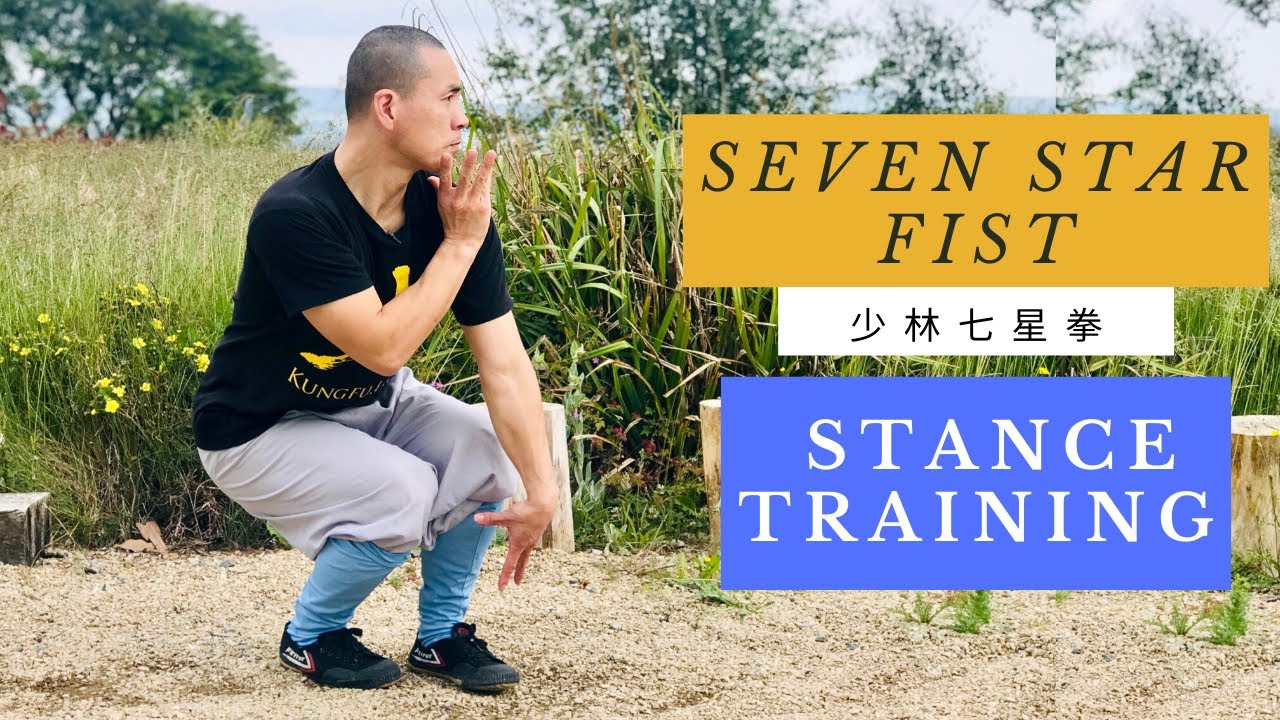 Shaolin Seven Star Fist (Qi Xin Quan - 七星拳) - Seven Star Stance Training 🔥.