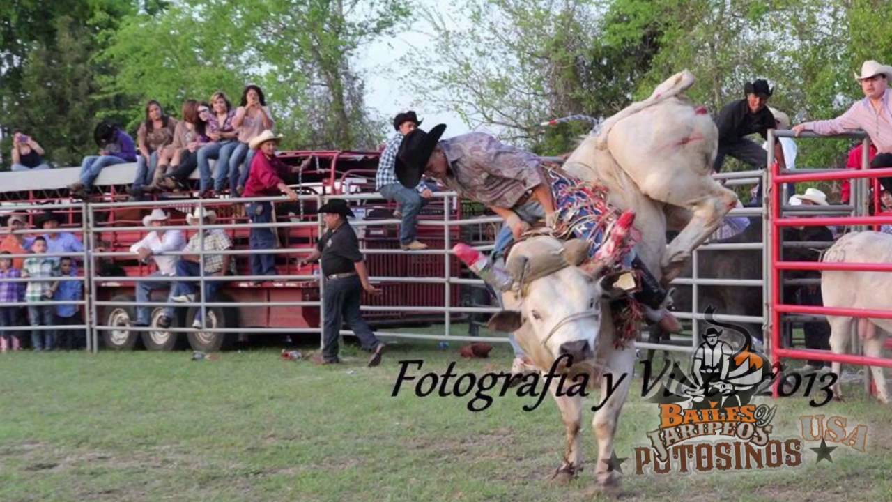 Corrido A Los Jinetes de SLP
