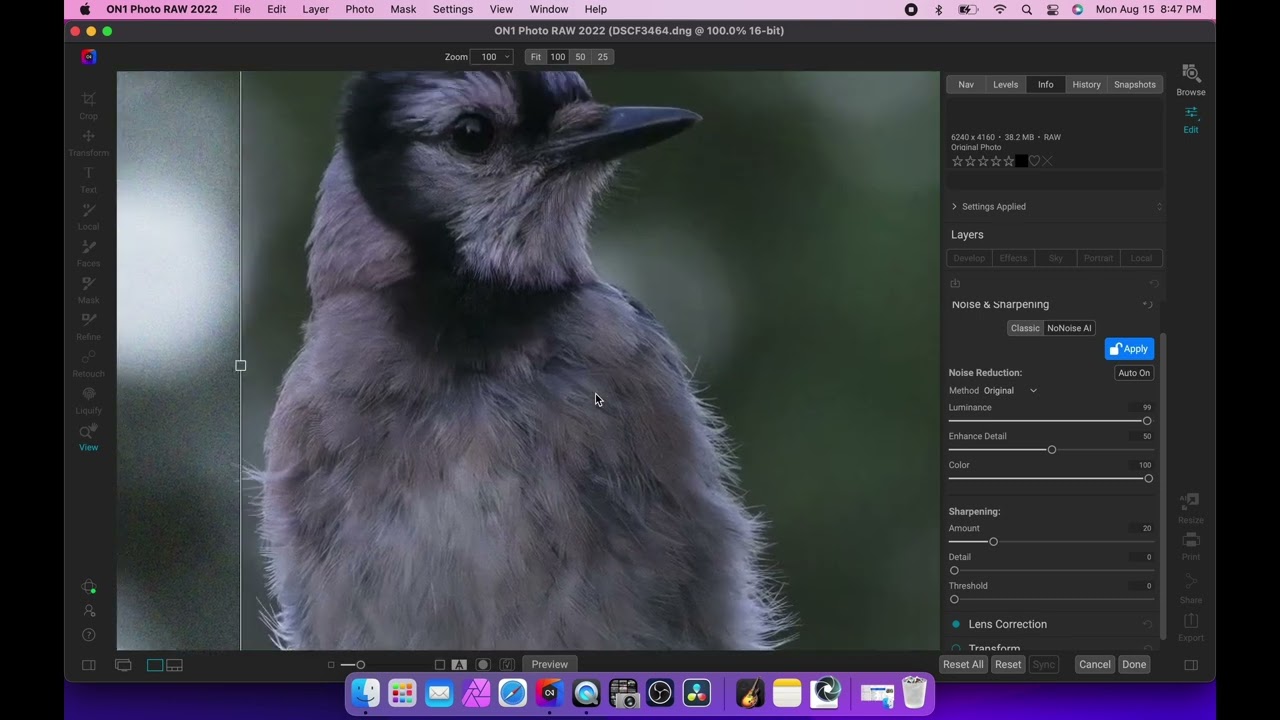 Let's Go Birding! Fuji X-H2s 95% hit rate for wildlife photography