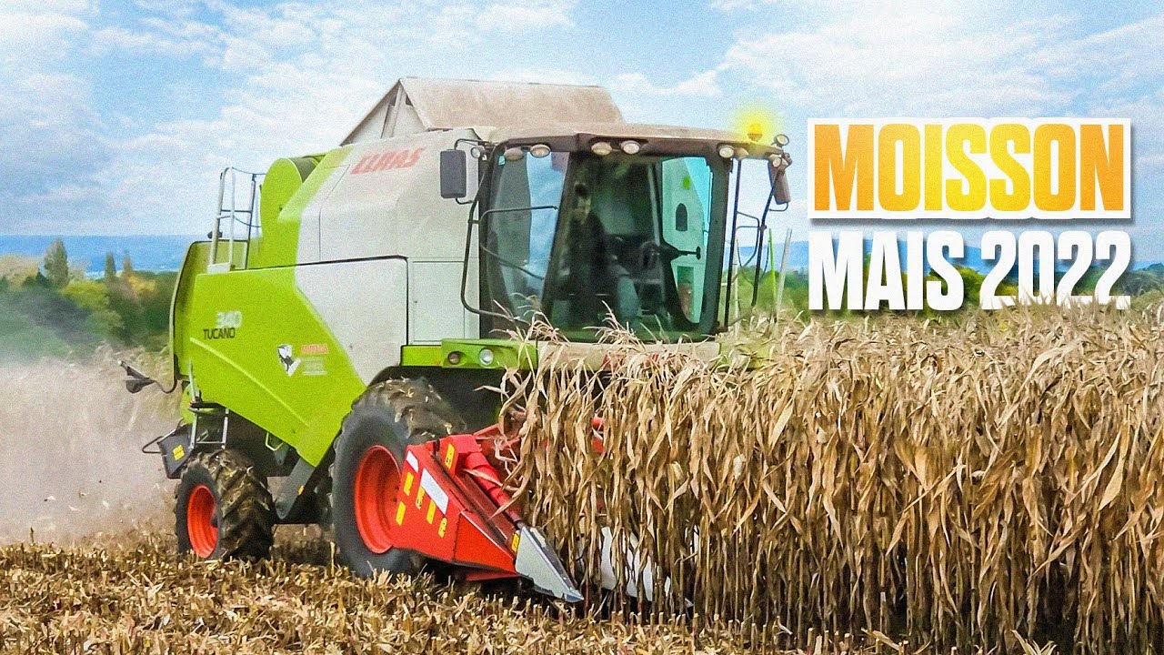 MOISSON DE MAÏS 2022 PARTIE 1