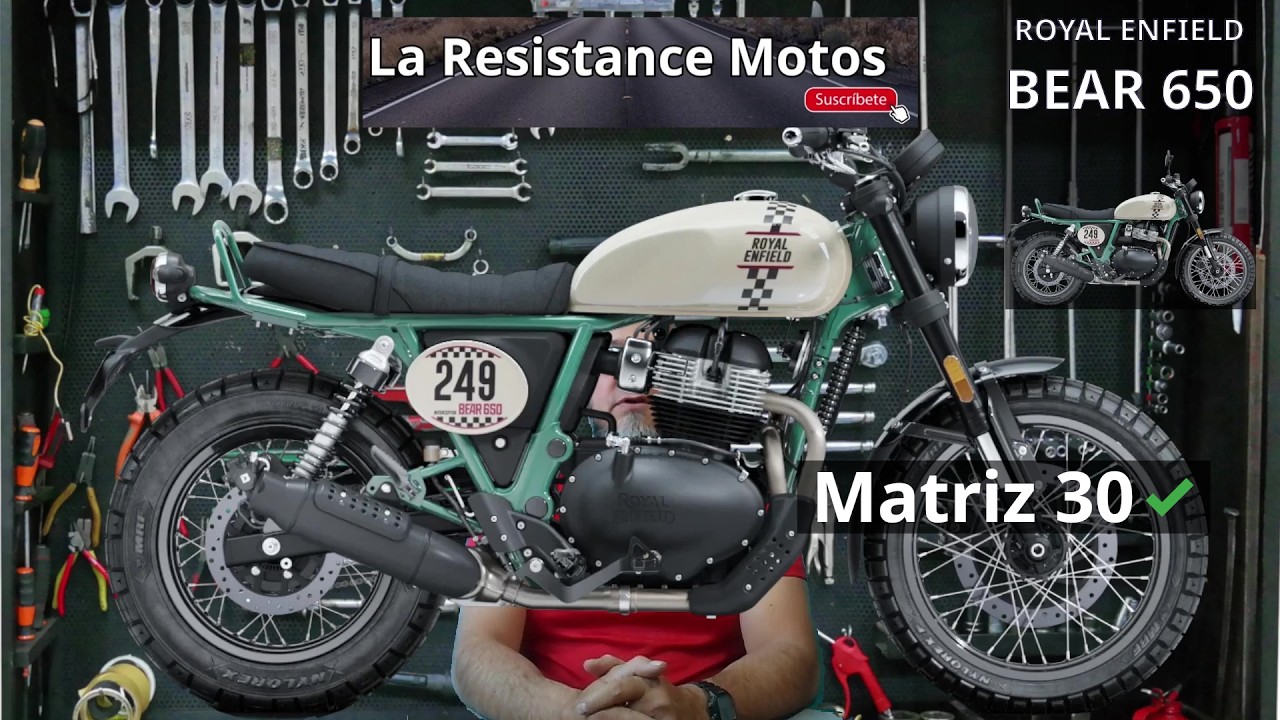 Royal Enfield Bear 650 - Análisis de experiencia real | La Resistance Motos