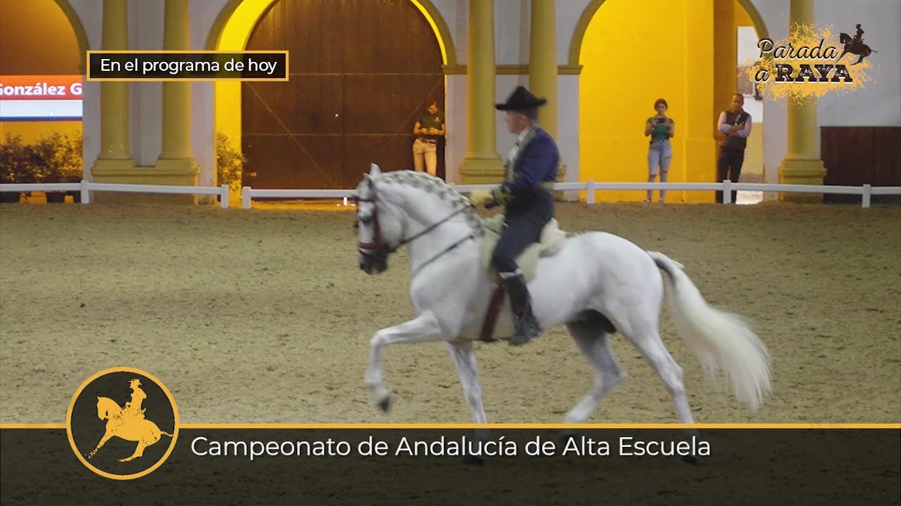 Parada a Raya 261