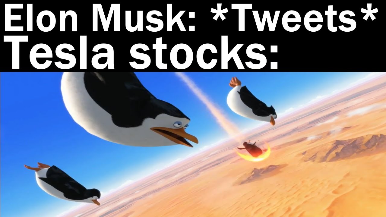 Memes Made By Elon Musk || Nightly Juicy Memes #43
