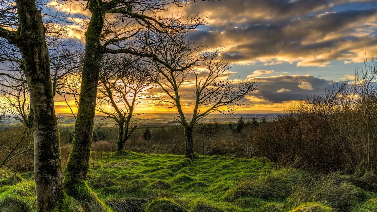 John Dowland - Lachrimae, or Seven Tears - 7. Lachrimae verae