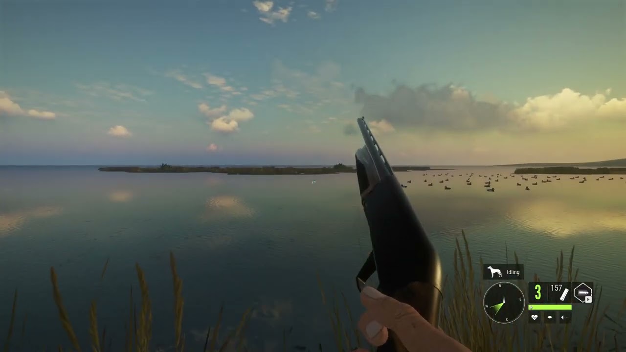 The Hunter Cal Of The Wild Ördek Avı