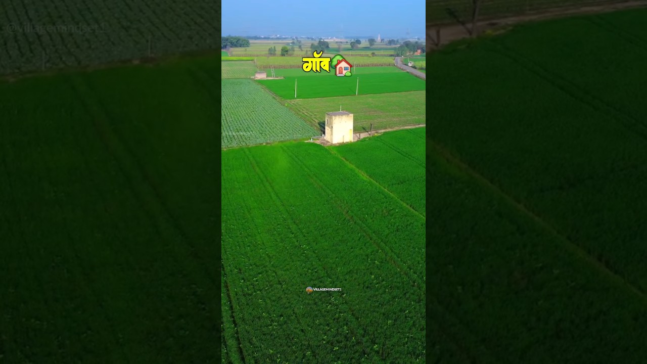 सुकून 🏡 Village WhatsApp Status | Gaon Status | Nature WhatsApp status | #shorts #villagelife #viral