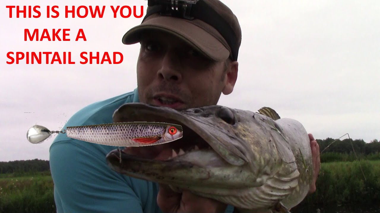 I made a Spintail shad from a fox rage pro shad 23cm and caught a big pike 91cm