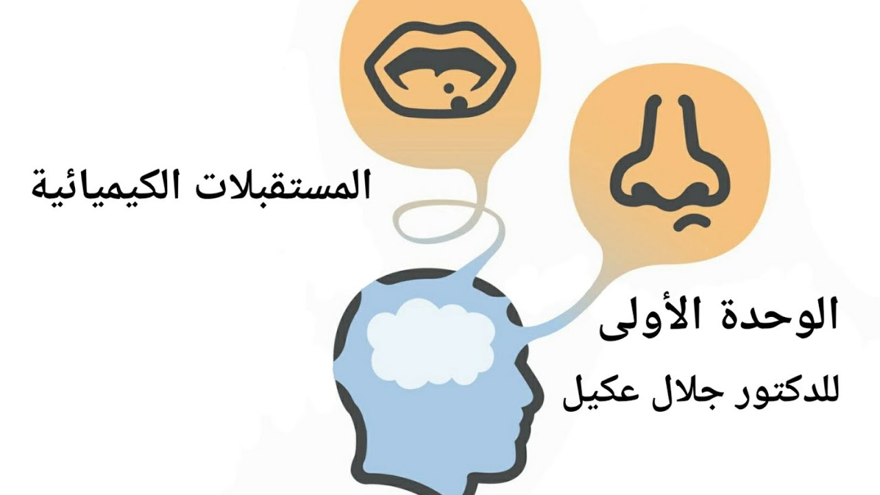 المستقبلات الكيميائية - الدرس الثالث - الوحدة الأولى مع الدكتور جلال عكيل