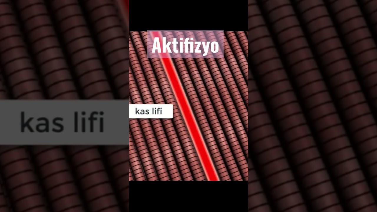 KULUN&Ccedil; NEDİR? #aktifizyo #boyunağrısı #kulun&ccedil;ağrısı #fiziktedavi #fizyoterapist #kulun&ccedil;kırma