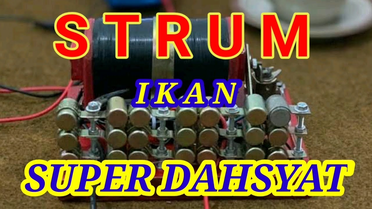 PERAKITAN STRUM IKAN #PART 3
