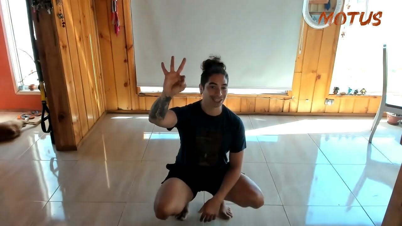 Animal Flow - Flow básico para principiantes paso a paso