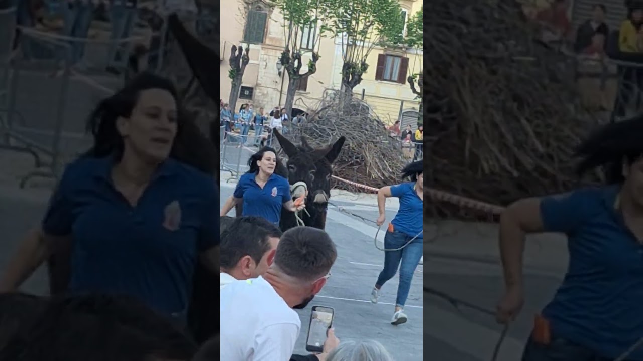 Sulmona Abruzzo - Fire Festival (3 of 4)