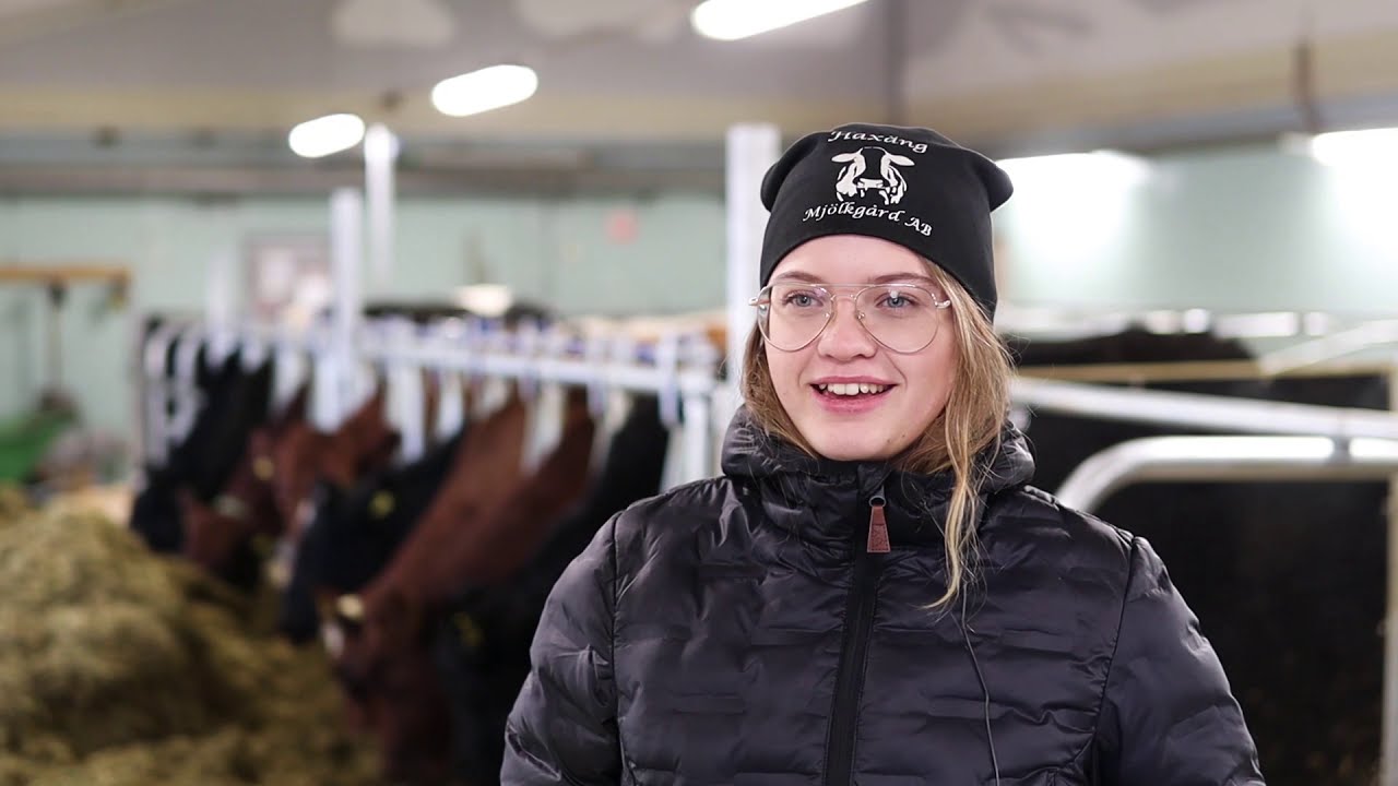 Eleven Julia berättar om Inriktningen Lantbruk - Lantbruksdjur