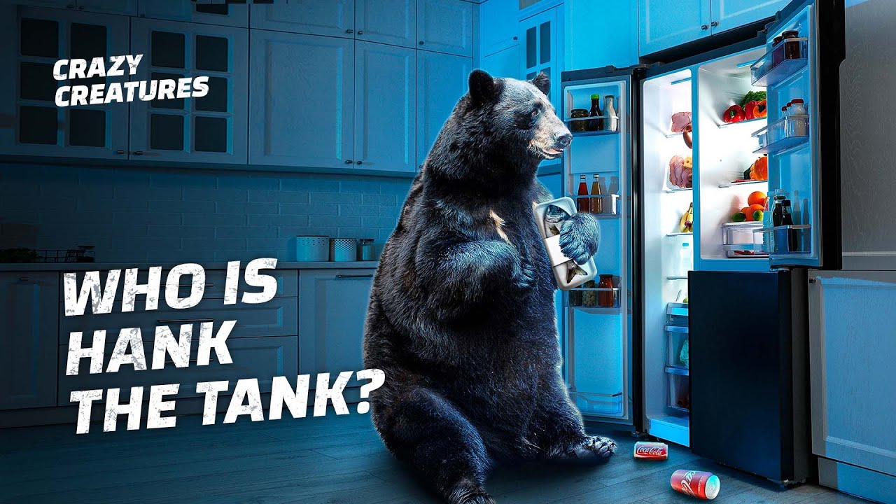What To Do When Hank the Tank Breaks Into Your Home