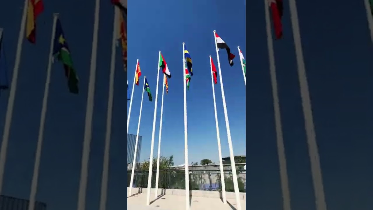 All the country flags that are participating in expo 2020