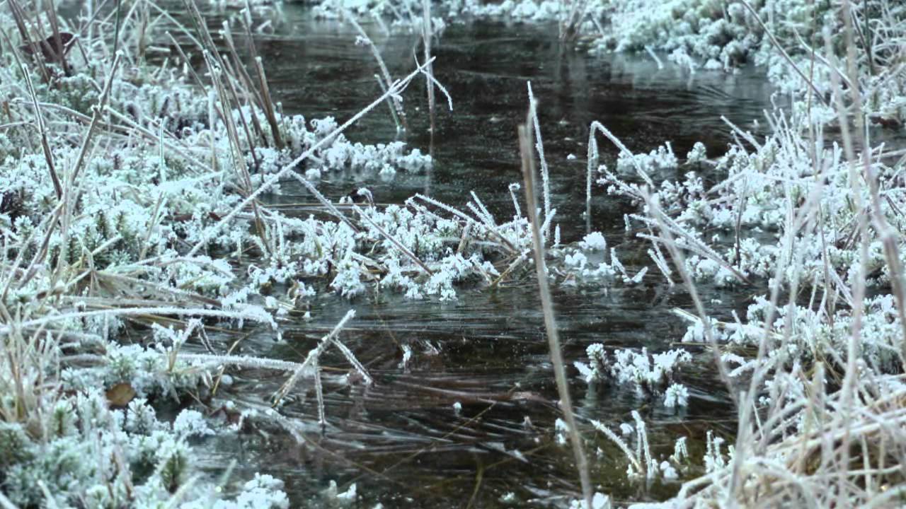 Januar - Spaziergang 2012