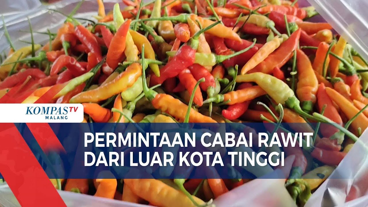 Sempat Anjlok, Harga Cabai Rawit Mulai Naik