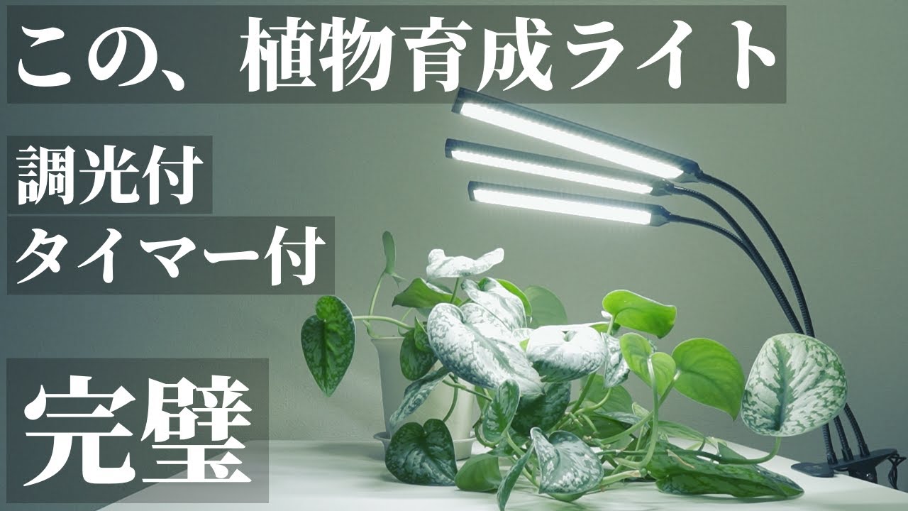 【初心者におすすめ】迷ったらこれ！植物育成ライトBRIM「FLORA（フローラ）」レビュー！調光有！タイマー有！点灯するライト数も調整できる！クリップで簡単アーム自由自在！観葉植物｜熱帯植物｜水耕栽培