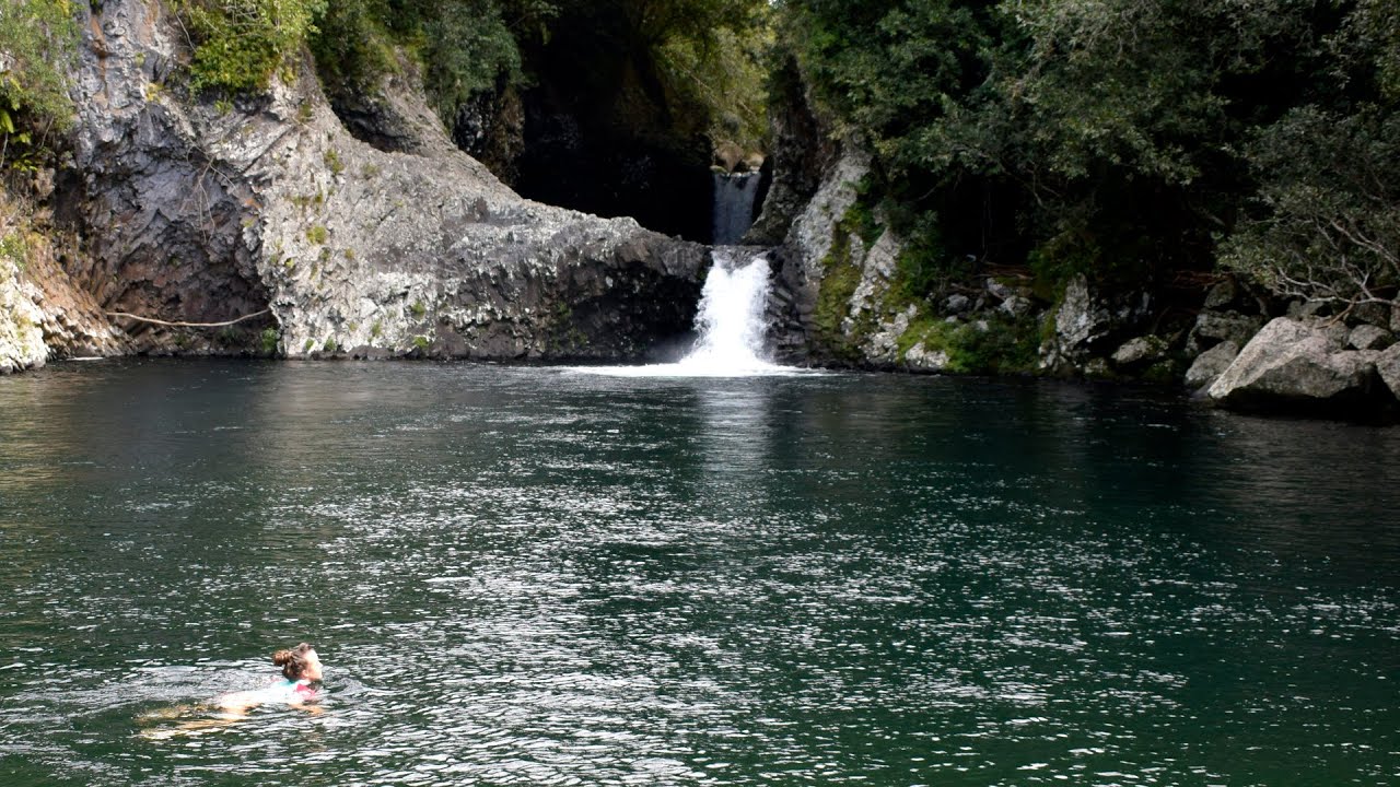 Randonnée le long de la rivière des roches à la Réunion