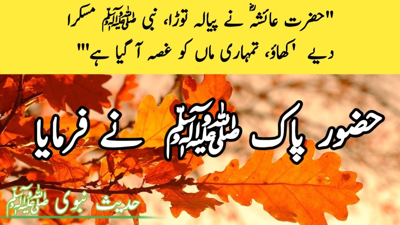 Hazrat Aysha (RA) ny Hazrat Ume Salma (RA) ka pyala tour diya || Farman e Rasoul ﷺ