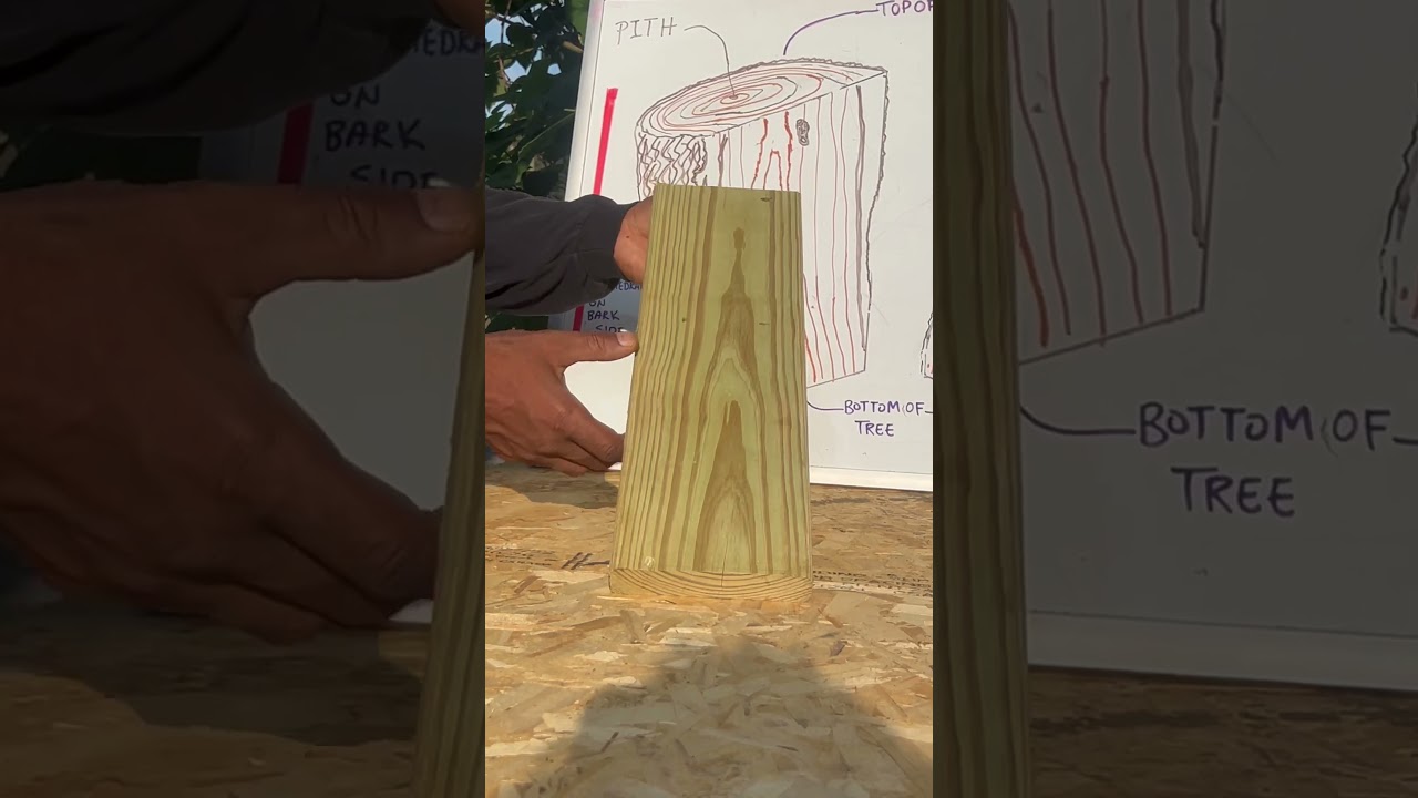 Reading Figure/How to Read Wood Grain (Part 2) #carpentry #tips #wood #tricks #woodgrain #shorts