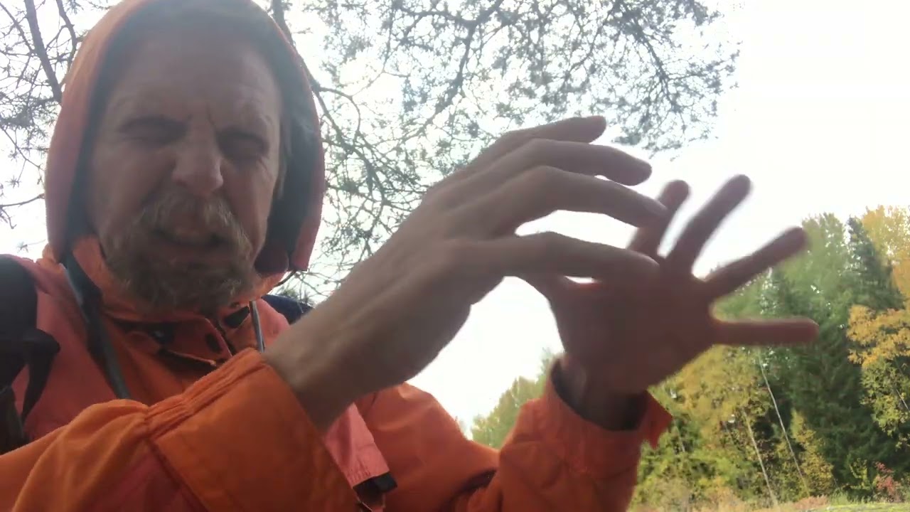 Viisasten Kiven etsint&auml;