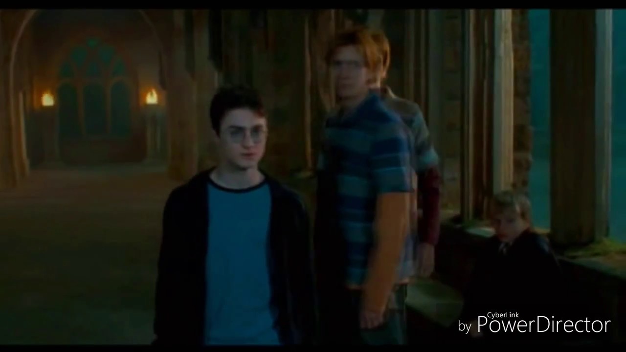 Harry Potter - Fred and George Weasley tribute.