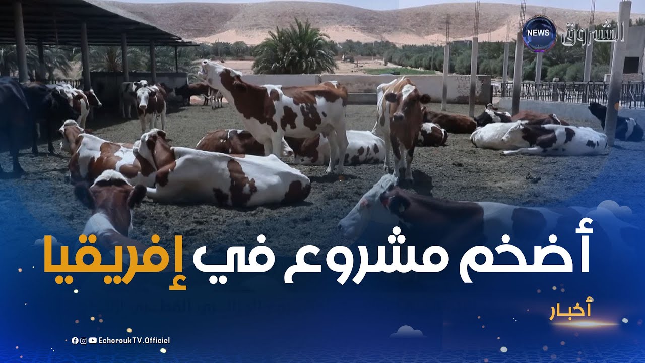 التوقيع على الاتفاقية النهائية للمشروع الجزائري القطري لإنتاج الحليب بجنوب البلاد