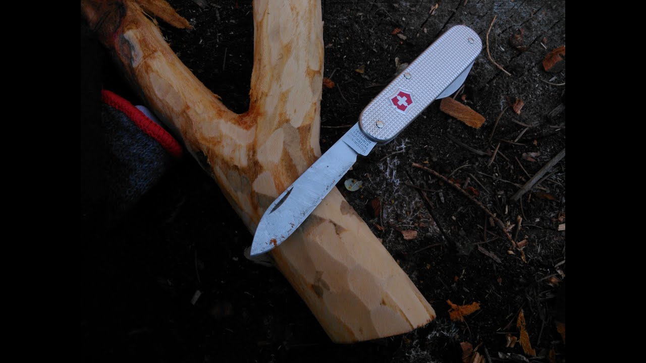 Victorinox Bantam opis