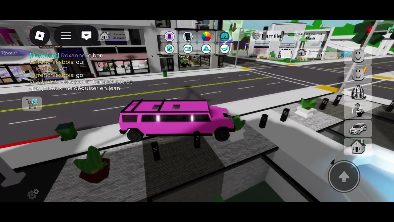Doro party sur brookhaven rp Roblox ??