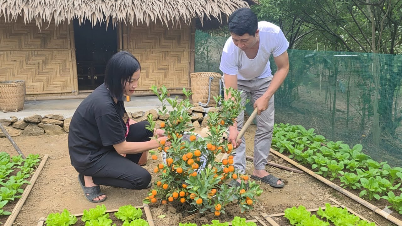 single mother and policeman begin a new life in their a dream home.