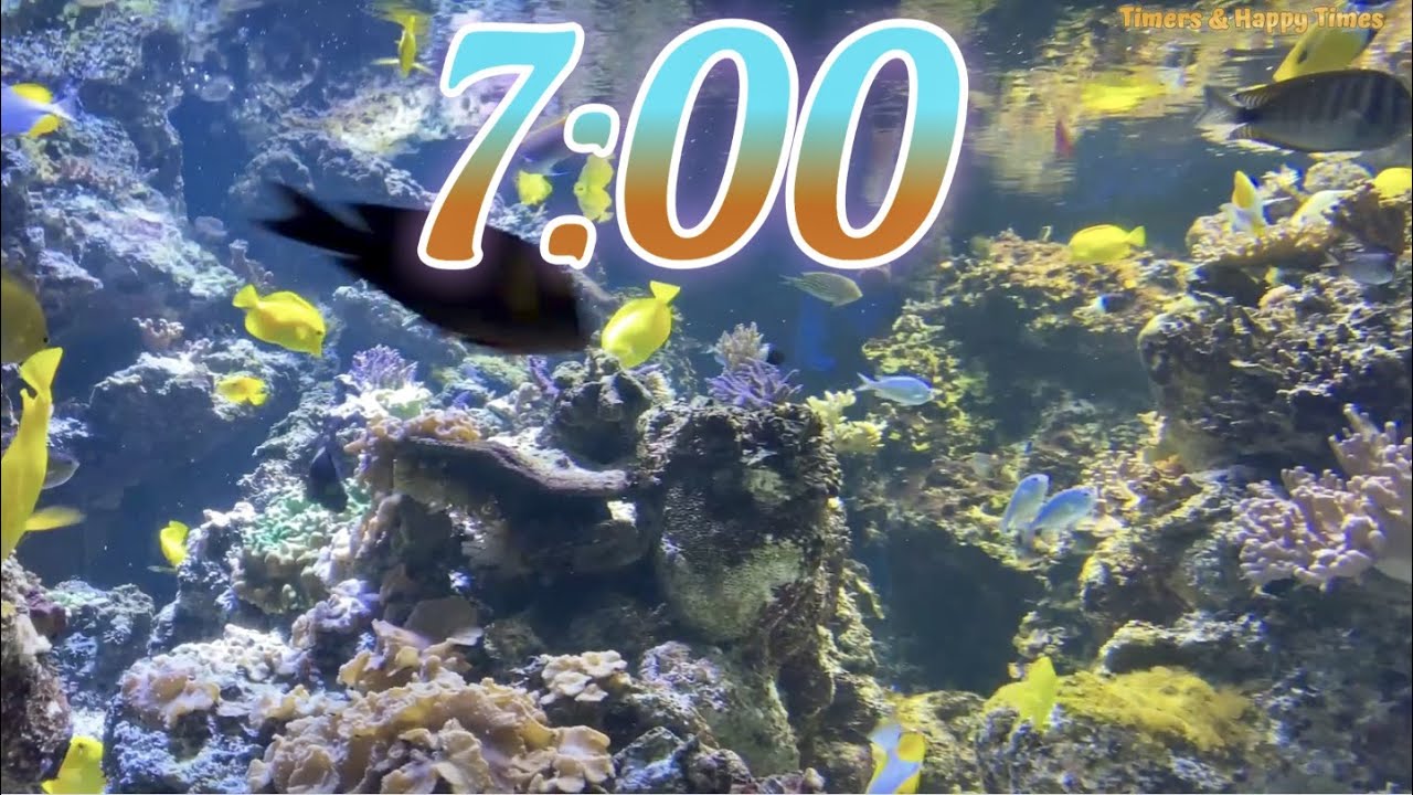 7 Minute Aquarium Timer/Countdown With Relaxing Music 🐟🐠|Cuenta Regresiva de 7 Minutos con M&uacute;sica.