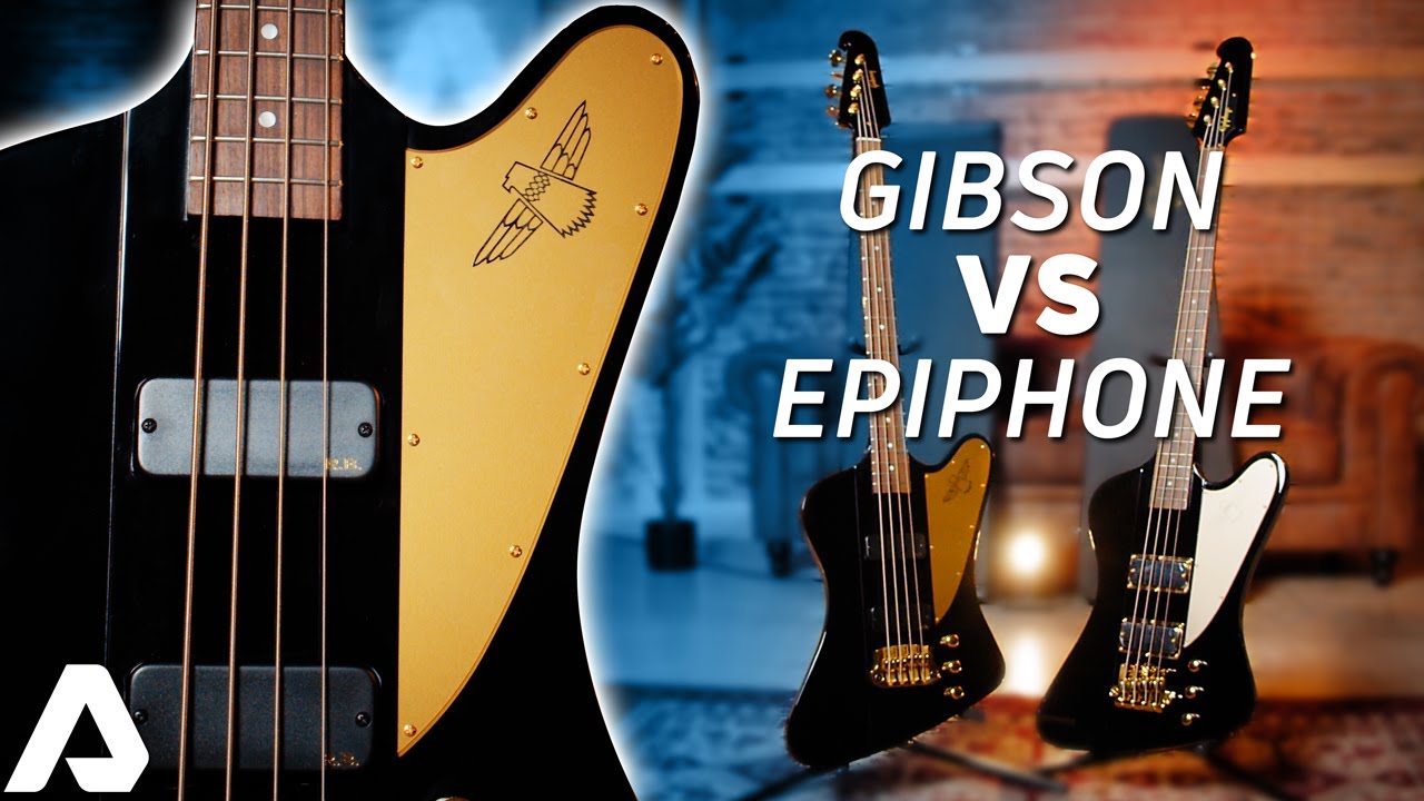 Comparamos los 2 Thunderbird de Rex Brown (Pantera) | Alfasoni