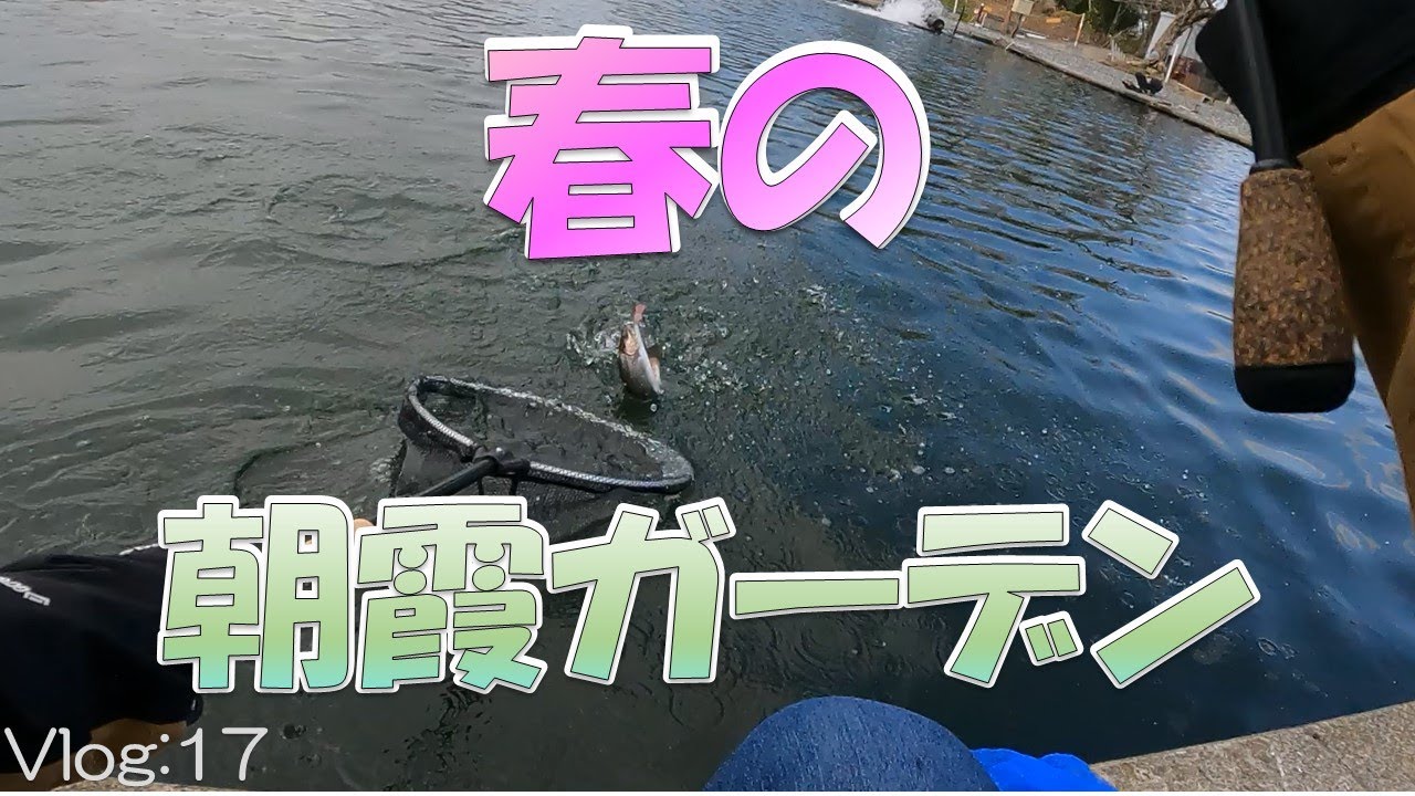 【エリアトラウト】春の朝霞ガーデン【朝霞ガーデン】