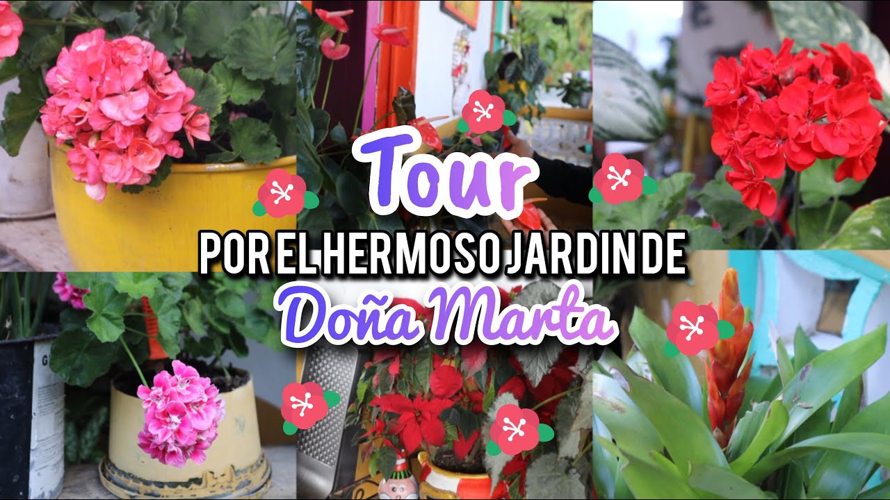 TOUR POR EL HERMOSO JARDÍN DE DOÑA MARTA 🌺🌼🌷