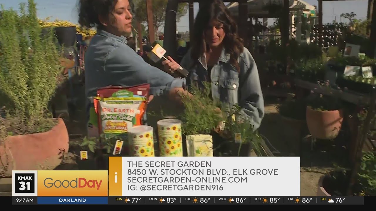 The Secret Garden, 9am