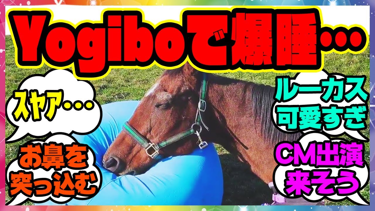 『完全に寝てる…ふわふわYogiboで快楽に堕ちるルーカス』に対するみんなの反応 まとめ ウマ娘プリティーダービー レイミン