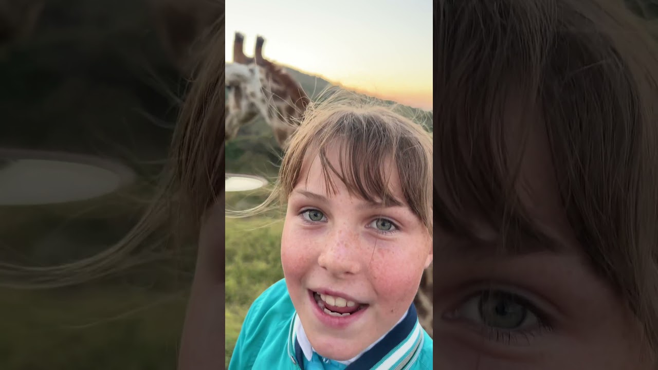 Giraffe have unique adaptations - useful when they have to reach high into thorn trees! 🦒🙌🏻