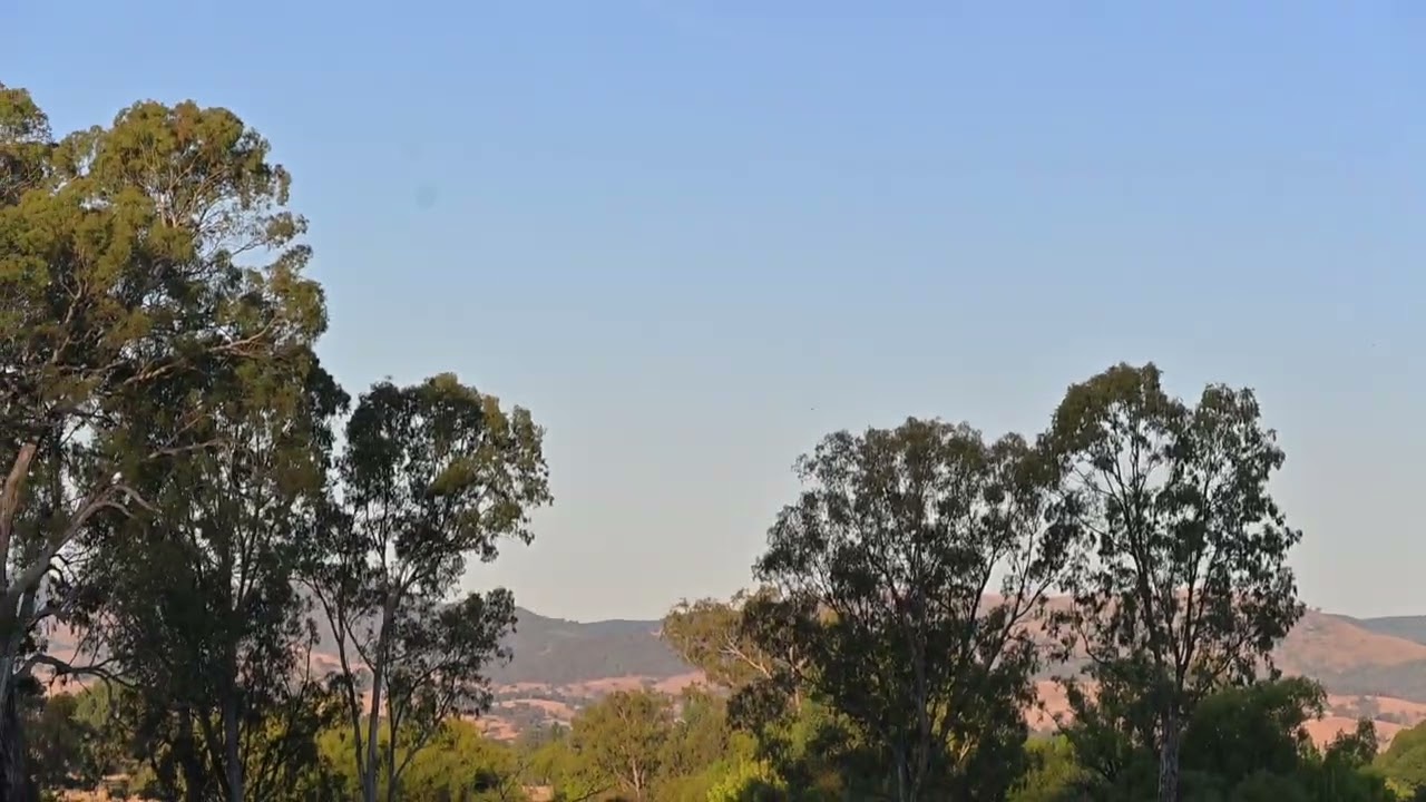 Morning views at Tumut Caravan Park