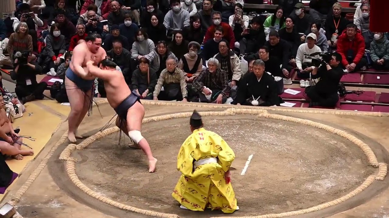 豊昇龍VS阿武剋【大相撲トーナメント2026年第五十回大会】