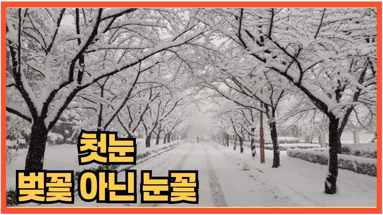 첫눈 눈꽃 폭설