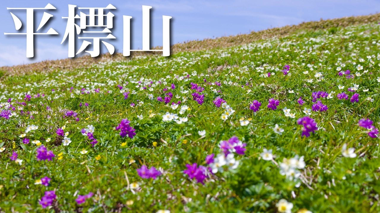 【夫婦登山】花の百名山！平標山｜新潟県湯沢町
