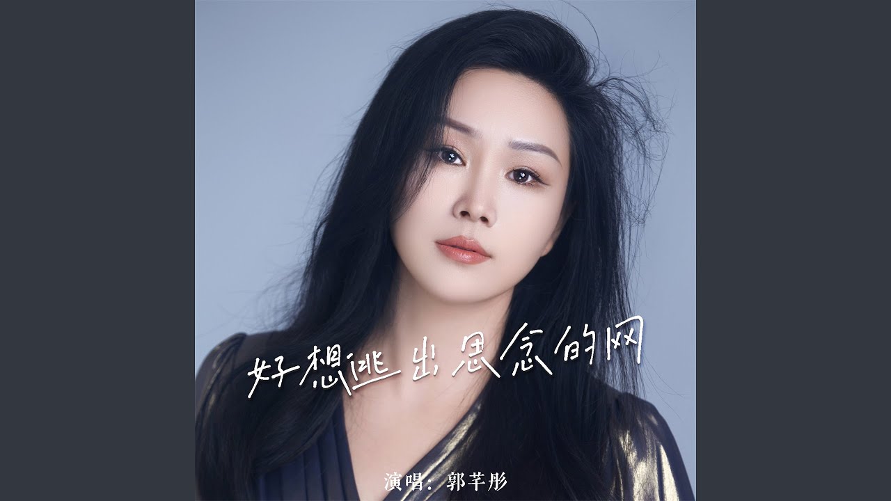 好想逃出思念的网