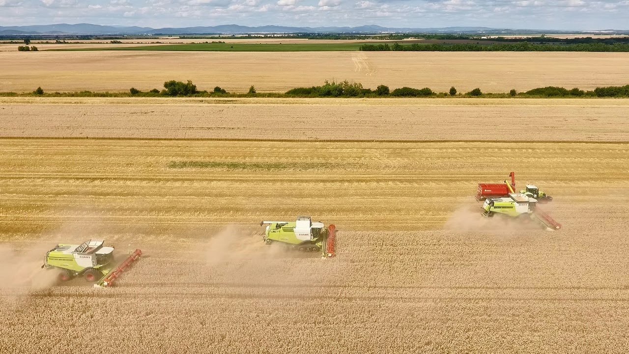 Claas style Kubát Smrčná - Agroslužby  Dolný Pial 2019
